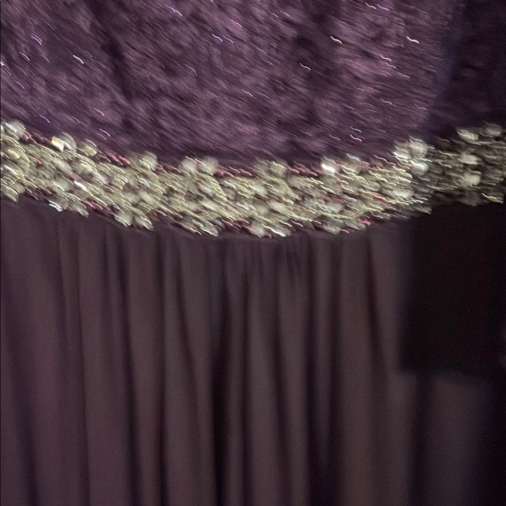 Mother of the Bride Dress:  Alex Evenings Elegant Purple Evening Gown - Picture 3 of 5